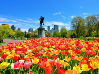 A Large Garden Of Flowers With A Statue In The Background